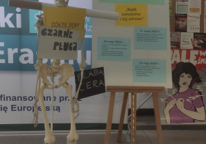 Zdjęcie 3 na 8