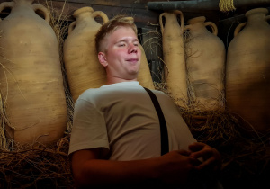 Zdjęcie 17 na 47